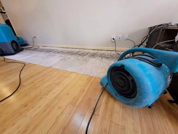 Professional Burst Pipe Water Damage technician working in Schaumburg, IL